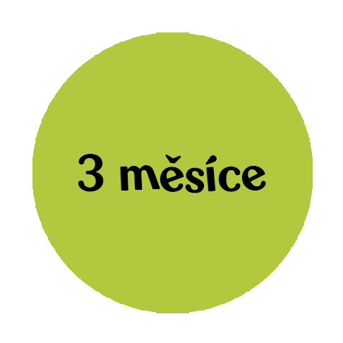 3mesice-pretaceni_v3